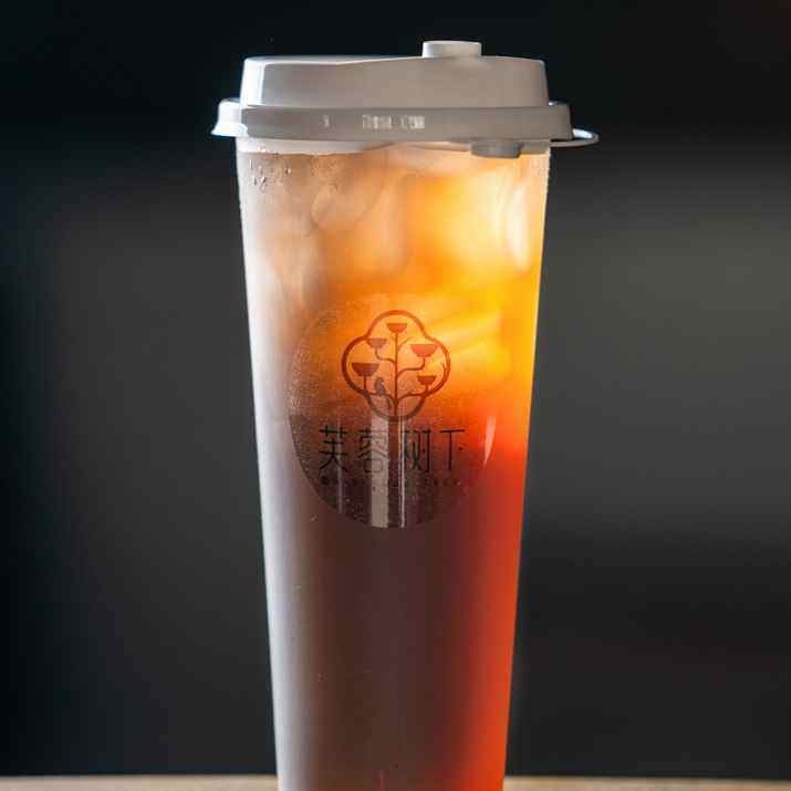 Hibiscus Tree by null