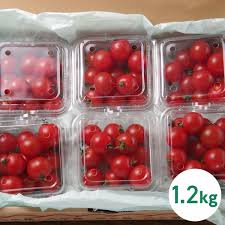 プチトマト ヌード　きよみ|五星戦隊ダイレンジャー DVD 発売中！ | スーパー戦隊シリーズ全話視聴