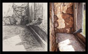 siberian mouse teen|How extinct animals could be brought back from the dead