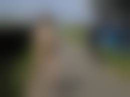 路上全裸|学校の施設や周辺に点在する会社の関係者が必ず通る一本道を全裸勃起でペニスをいじりながら散歩してきた 220607 - Pornhub Gay