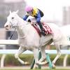 【札幌記念結果】白毛ソダシが早め先頭から押し切り古馬を一蹴 ...