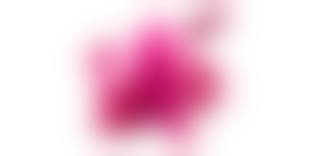 вибратор бабочка|Вибро бабочка для клитора с ДУ CalExotics Original Venus Butterfly – купить  по цене 2 852 ₽ в shpi-vi.ru