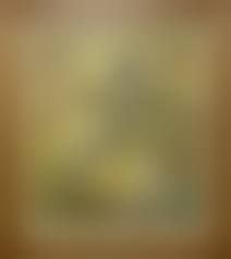 rikitake jr nude|香坂ゆい 時を追い越して スタジオR 力武靖 帯付き（注）モデルは18