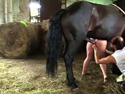 E a horse fuck mature woman pussy of married woman drilled horse cock jpg x Horse fuck