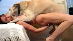 Fell on the net zoophilia of young girl fucking with gifted dog zoo xvideos jpg x Girl fucked by dog