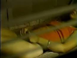 Peeping tom caught amateur milf maturbating through hotel window jpg x Window peeping