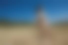 yuko-ogura nude fakes|小倉優子 幸福論 | 西田 幸樹 |本 | 通販 | Amazon