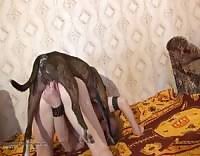 Animal porn clips horse porn animal porn horse fuck bestiality sex free beastiality animal sex fucking jpg x Beastiality sex