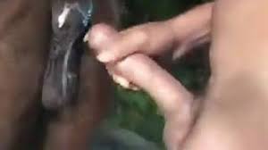 Fucking friend mare face zoo porn jpg x Mare fucking