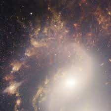 NGC jwst Wiki|Datei:NGC 2566 (MIRI image) (potm2412b).jpg – Wikipedia