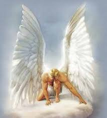 http://t3.gstatic.com/images?q=tbn:ANd9GcScdxFXL43rspZ_0E-tMgX7HFyXDveYlYrp-hz5ltCvGfFjF9pDHw