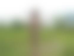 野外露出　のんべーの妻|2019年夏 番外編（ステアさん撮影分） - のんべー | 素人投稿アルバム