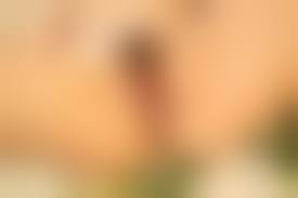 本中 中出し|トップ | 全作品、本物中出しのAVメーカー【本中】公式サイト