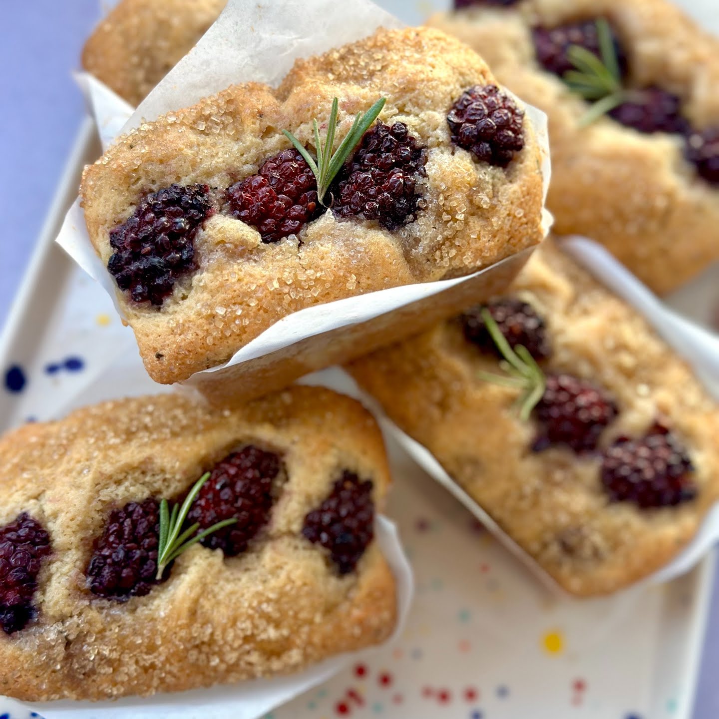 Flouring Cake Shop by null