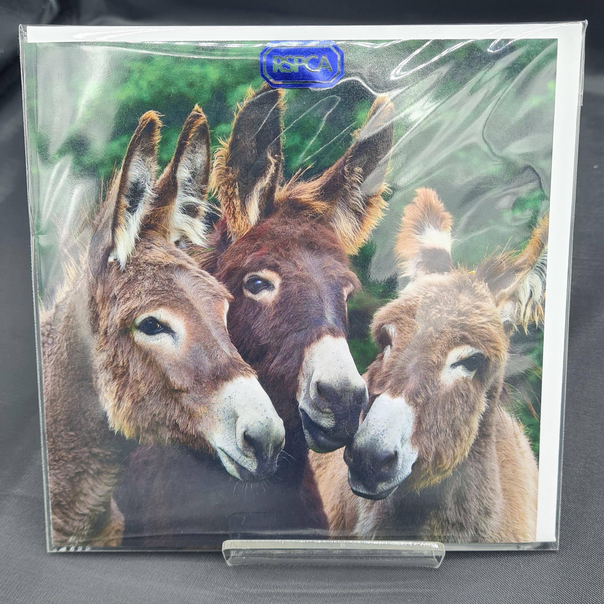 Aylings Garden Centre & Tea Room