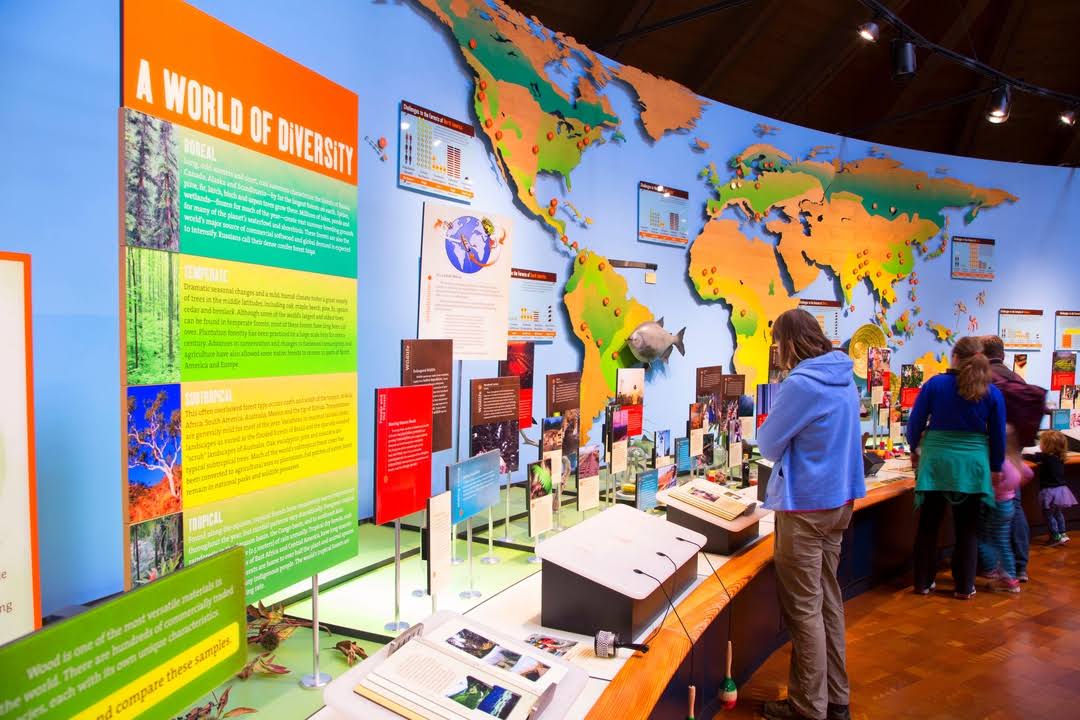 World Forestry Center by null