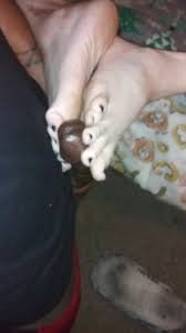 Big feet footjob jpg x Big feet footjob