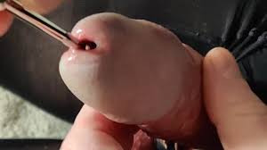 Urethral sounding cum jpg x Urethral stimulation