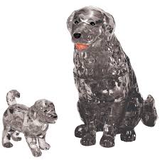 tween dog sex|Hotel for Dogs Movie Review | Common Sense Media