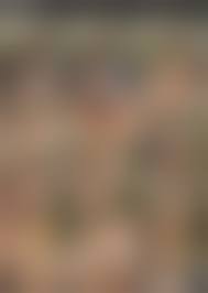 cdx web.archive iv.83net.jp porno c3|UGJ Japan Hardcore Chiaki Hidaka 日高千晶 アナル図鑑 日高千晶 Caribbeancom 100820-001