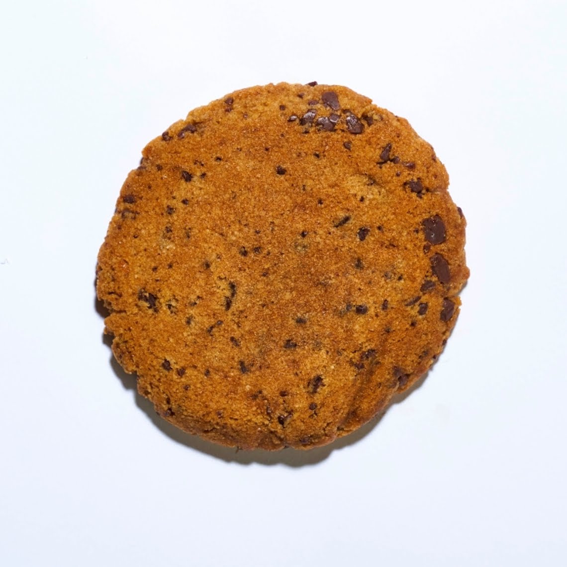 Springbone Kitchen by null