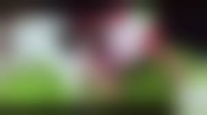 A special Christmas gift for dpg porn|▷ Alexis Fawx in All I Want For Christmas Is Dick (Photo 2) | Brazzers