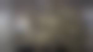 animal sex porn|Man ordered to have no contact with dogs after recording depraved animal  sex video - Extra.ie