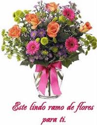 images?q=tbn:ANd9GcSflUyfi6YUlzwiSw61q4JDJ3gt-ylt5xxb8Qy0pPFliFxw3mBk