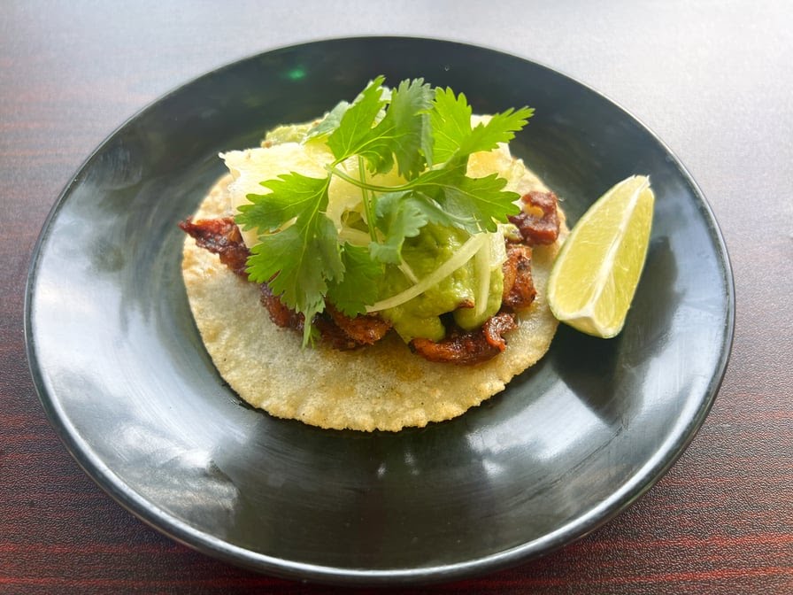 Chicatana by null