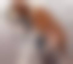 Teen dog fuck|Dog fucking woman - free zoo porn video