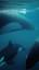 La fascinante historia de las orcas ile ilgili video