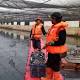 Dari Waring Hingga Cairan Mikroba, Warga: Kali Item Masih Bau - IDN Times (Siaran Pers) (Blog)