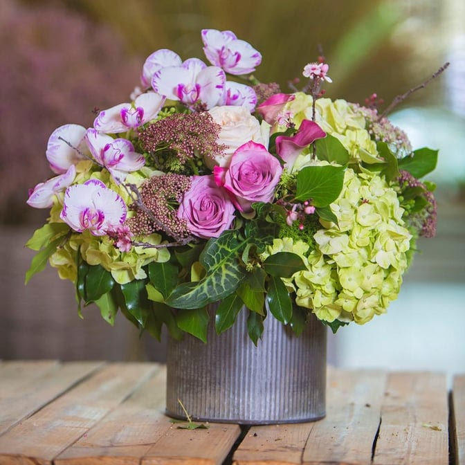 Le Jardin Français Boutique by null