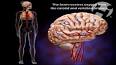 Anatomie et physiologie du sommeil ile ilgili video