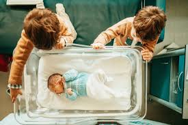 1st studio siberian mouse inna|Russian Masters - Russian Masters Ballet