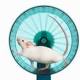 'Exercise pill' could deliver benefits of fitness in tablet form 