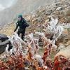 御嶽山は冬間近 凍る登山道 規制ロープも植物も