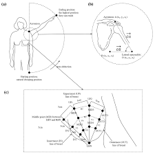 rq-star no. 00468|First report of biocellulose production by an indigenous yeast, Pichia  kudriavzevii USM-YBP2