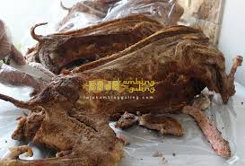 emperor 12 omegle vichatter $|Samsung 80 cm (32 Inches) – BBM