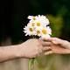 After age 40, volunteering linked to enhanced mental health 