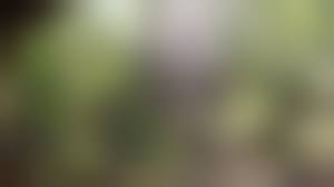 Russian Pissing Voyeur|Huge Anal Rosebutt | Teen - Many Russian Girls And Gilfs Peeing In Russian  Train Toilet