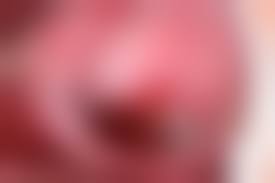 tokyohot 尾野真知子|尾野真知子東熱初裏ガチ | TVdeAV