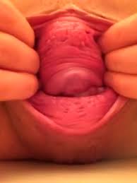Bizarre unusual weird pussy cunt vagina videos free porn videos jpg x Weird pussy