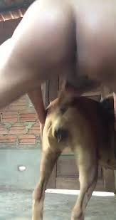 Search oe utf guy fucks dog pussy porn isz en safe off udm ec gadaaq jpg x Guy fucks dog pussy