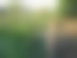 голышом на даче|Теща на даче голой поливает цветы фото - FotoSbor.com