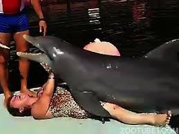 Balloon fetish humping dolphin jpg x Dolphin tube
