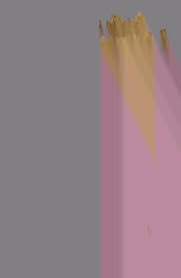 hebe pussy 8ch|COPIER COLLER