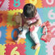 Canberra childcare workers to face court on assault charges 