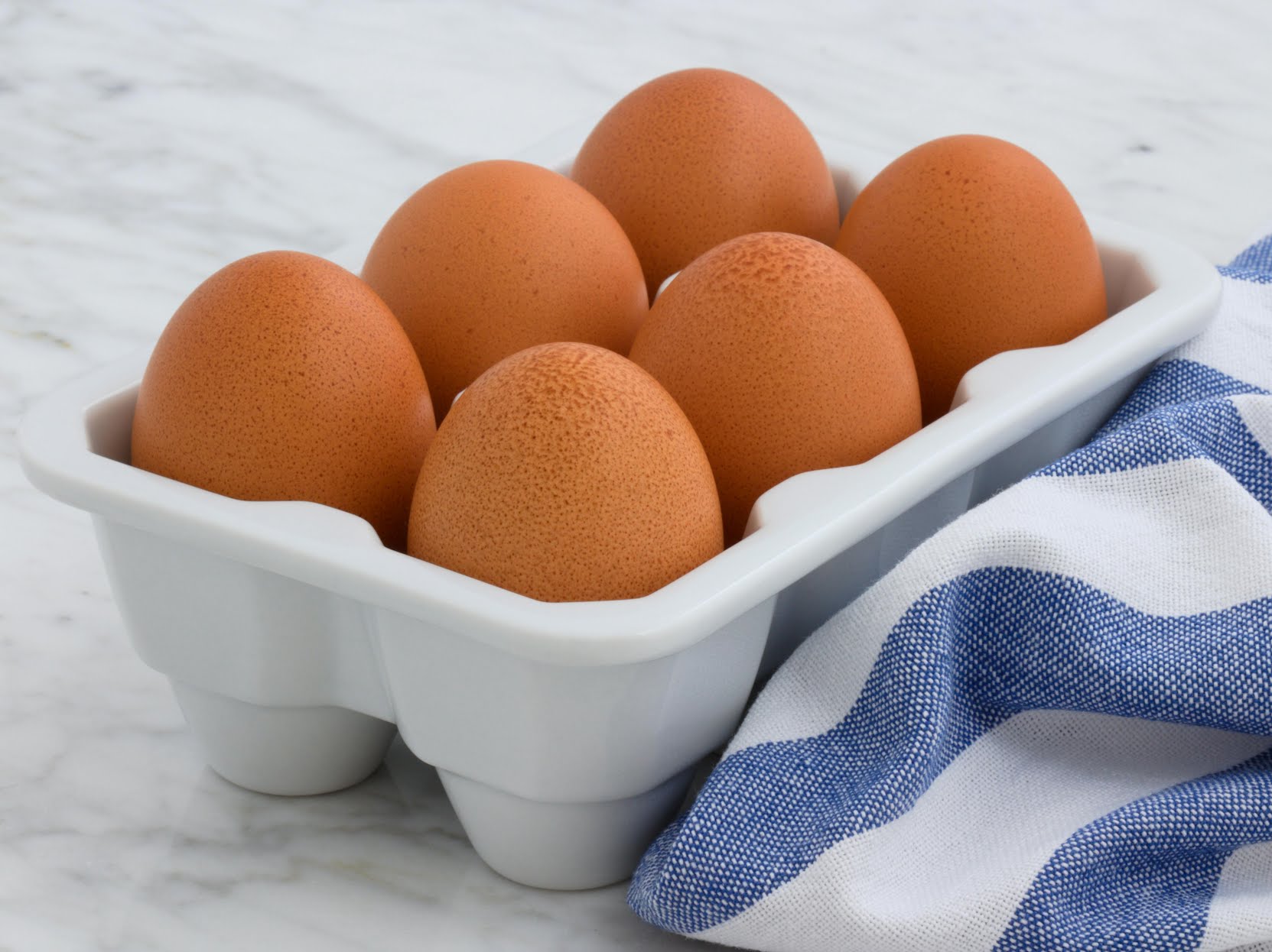 Breezy Hill Orchard by null