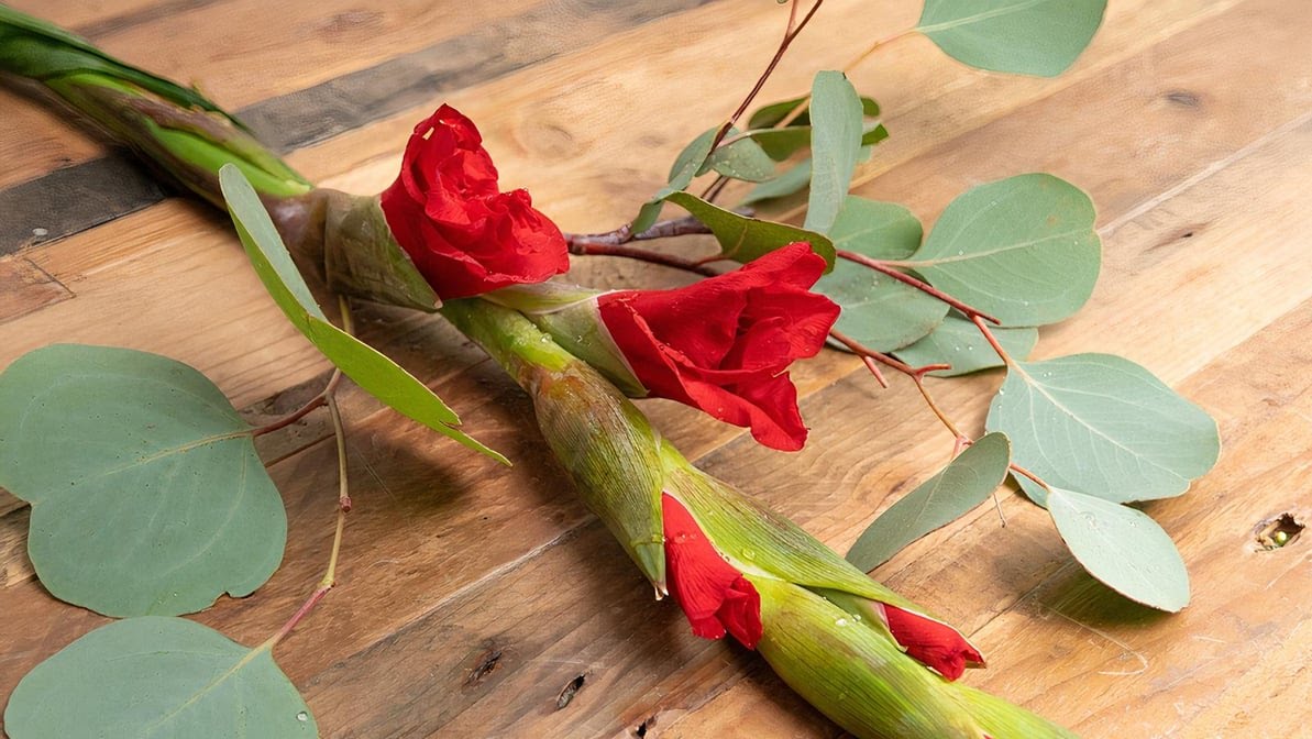 Flower Outlet & Gifts by null
